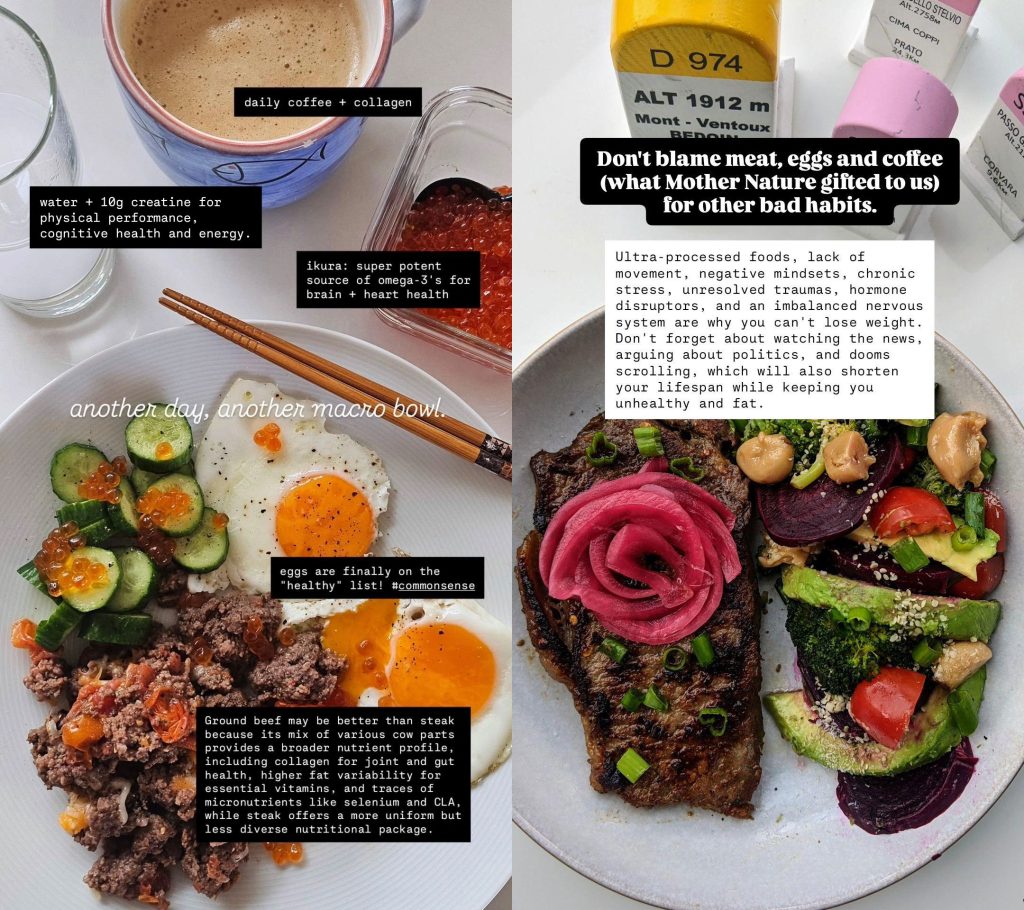 Cholesterol Myths Debunked | Longevity Palace | Unconvetional Longevity Insights | Lifestyle Design