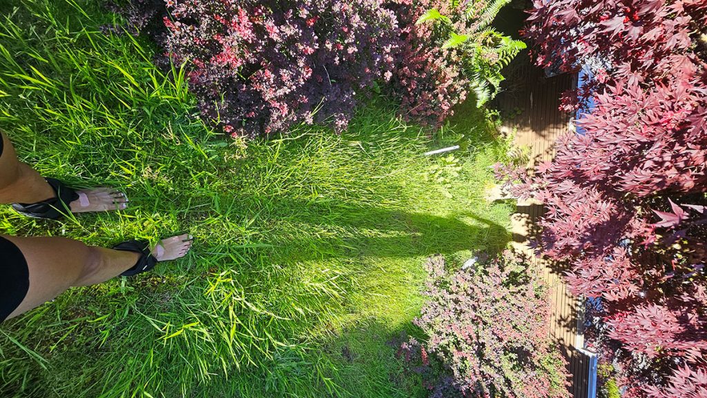 Why Healing Modalities Fail: The Role of Unresolved Trauma | Grounding | Energy Healing